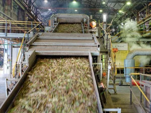 pulley for sugar mill